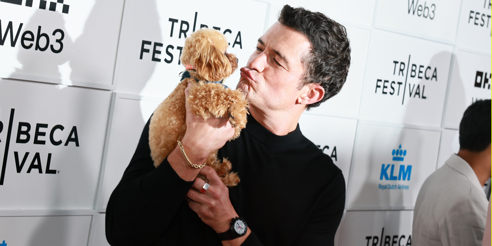 Orlando Bloom Brings His Puppy Along to ‘Deep Cover’ Tribeca Film Festival 2025 Premiere