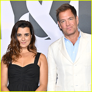 Michael Weatherly & Cote de Pablo Talk 'NCIS: Tony & Ziva' Splitting Up Their Characters