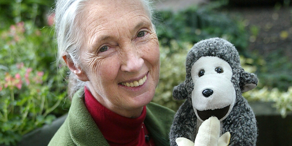 Stars React to Jane Goodall’s Passing at 91 | Jane Goodall | Celebrity News and Gossip | Entertainment, Photos and Videos