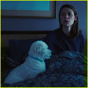 ‘The Beast in Me’: Does Steve the Dog Die in Netflix’s New Show?