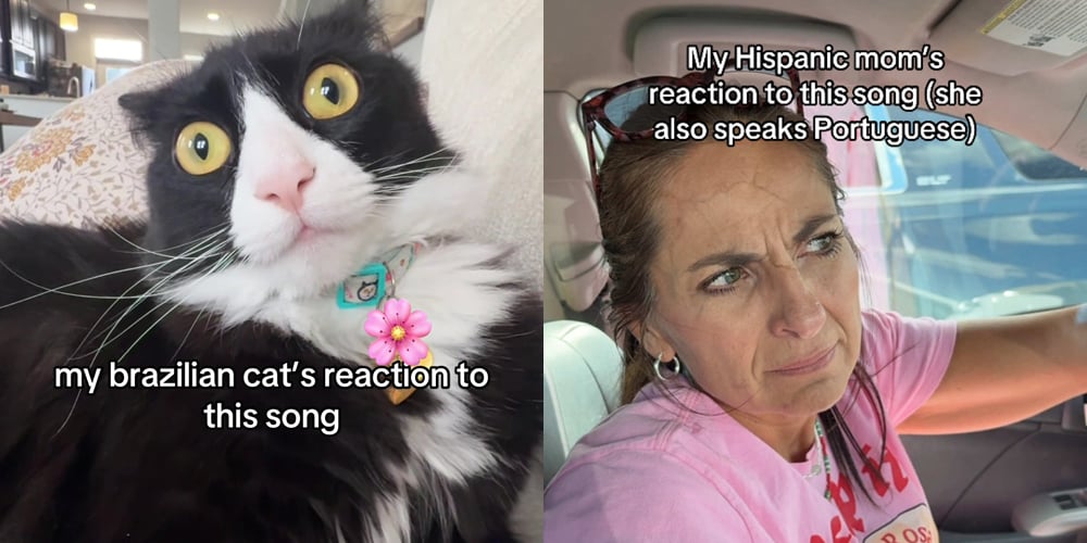 Letra de ‘Predador de Perereca’, traducción al inglés y significado: impactante canción brasileña NSFW que se ha vuelto viral en TikTok | Letras, Música, TikTok | Noticias y rumores de celebridades | Entretenimiento, fotos y vídeos