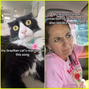 ‘Predador de Perereca’ Lyrics, English Translation & Meaning: The Shocking NSFW Brazilian Song That’s Gone TikTok Viral