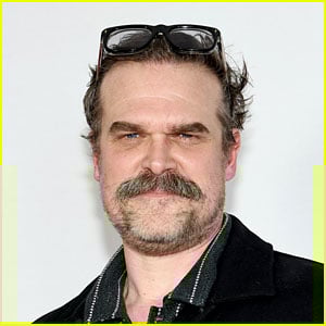 David Harbour Talked About ‘Mistakes’ in Interview Released Hours
