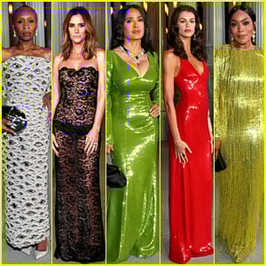 LACMA Art + Film Gala 2025: See Photos of Every Celeb Who Attended the Hollywood Event! 