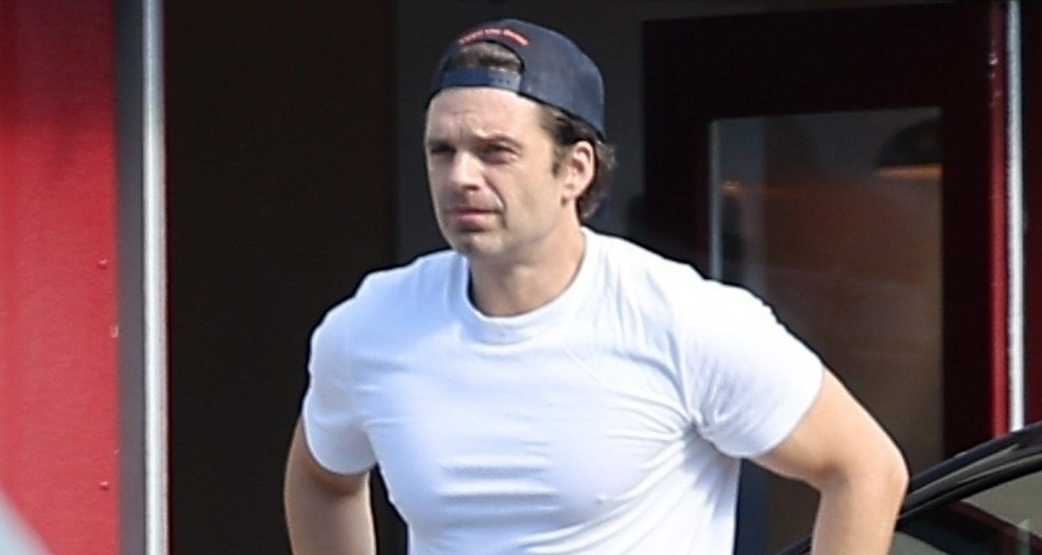 Sebastian Stan Hits the Gym for Workout in Santa Monica | Sebastian Stan | Celebrity News and Gossip | Entertainment, Photos and Videos