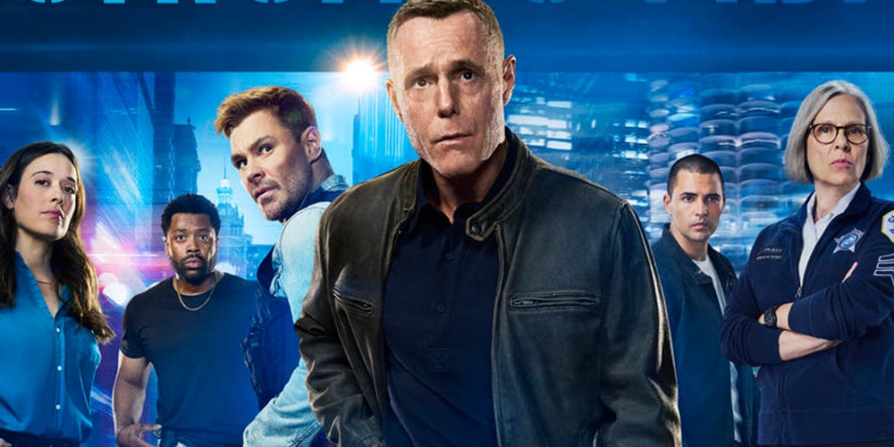 Patrimônio líquido do elenco de ‘Chicago PD’: estrelas mais ricas classificadas | Alex Morf, Amanda Payton, Amy Morton, Benjamin Levy Aguilar, Carmela Zumbado, Chicago PD, Chicago PD, EG, evergreen, Jason Beghe, Jesse Lee Soffer, Laroyce Hawkins, Marina Squerciati, NBC, Nicole Ari Parker, Patrick John Flueger, Ramona Edith Williams, Apresentação de slides, Televisão | Tracy Spiridakos | Notícias e fofocas sobre celebridades | Entretenimento, fotos e vídeos