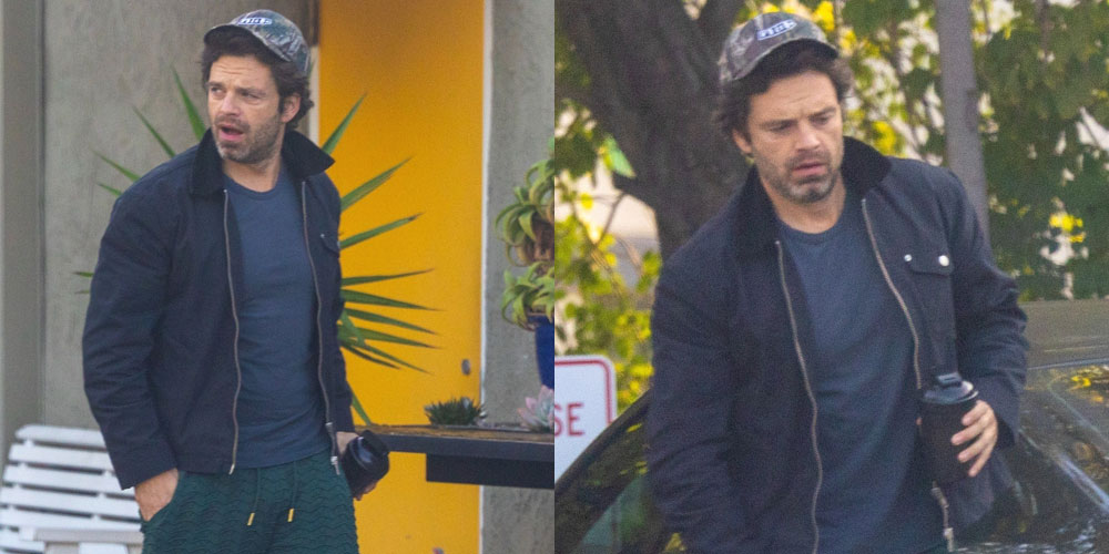 Sebastian Stan Drives Himself to Personal Training Session in LA | Sebastian Stan | Celebrity News and Gossip | Entertainment, Photos and Videos