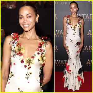  Fire And Ash' Screening in Miami