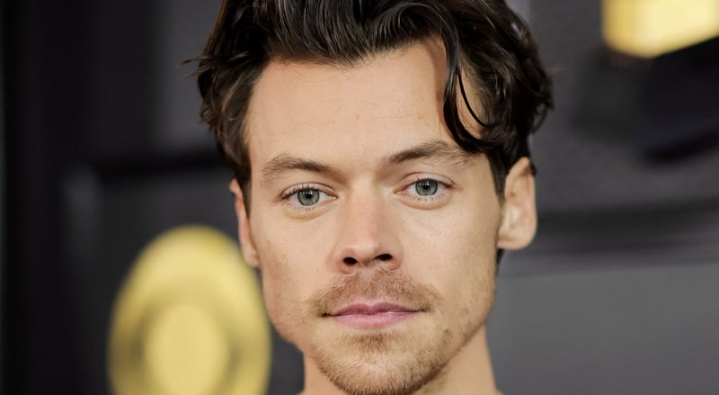 O que realmente significa “Abertura”? Tudo sobre a nova música de Harry Styles e o significado das letras | Harry Styles, um beijo o tempo todo. Disco Ocasionalmente., Letras, Música | Notícias e fofocas sobre celebridades | Entretenimento, fotos e vídeos