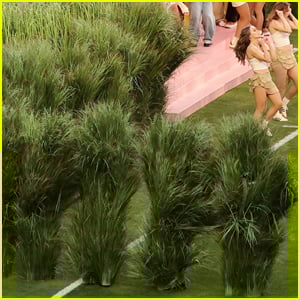 How Much Were the Grass Performers Paid at Bad Bunny’s Super Bowl 2026