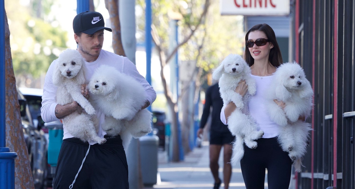 Brooklyn Beckham e sua esposa Nicola Peltz levam seus cachorros aos noivos em meio a um drama familiar | Brooklyn Beckham, Nicola Peltz | Notícias e fofocas sobre celebridades Entretenimento, fotos e vídeos