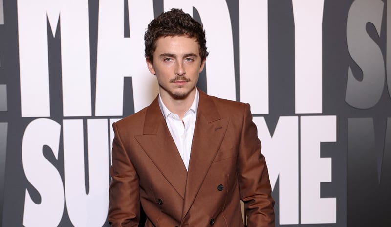 Timothee Chalamet Suits Up in Brown Givenchy Look for 'Marty Supreme' Paris Premiere