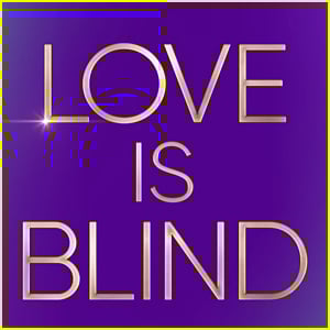 'Love Is Blind' Marriage Updates: 6 Couples Split Up & 8 Couples Remain Married
