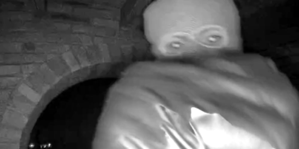 Xerife admite possíveis novas evidências de Nancy Guthrie Fotos de vigilância doméstica do suspeito | Nancy Guthrie | Notícias e fofocas sobre celebridades Entretenimento, fotos e vídeos