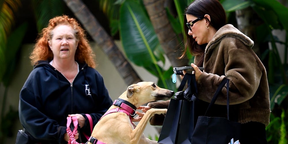 Sandra Bullock é recebida por um cachorro simpático durante um passeio em Beverly Hills | Sandra Bullock | Notícias e fofocas sobre celebridades Entretenimento, fotos e vídeos