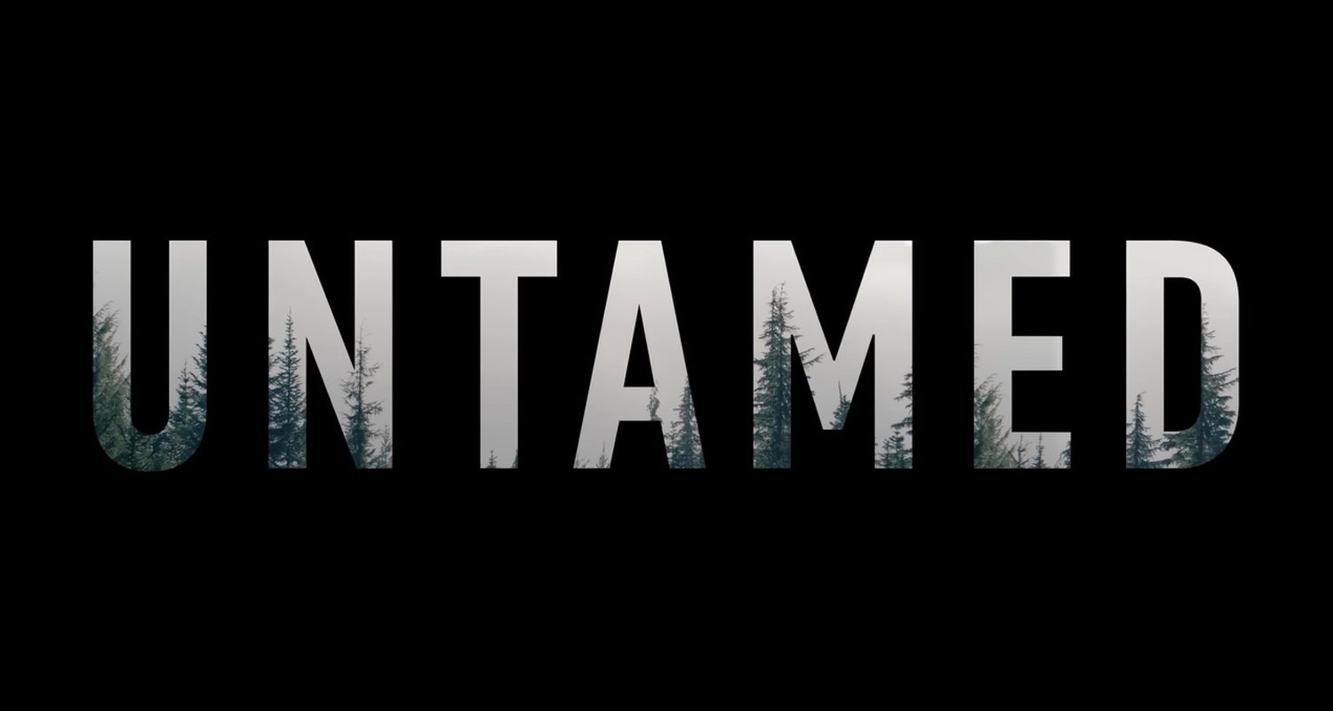 Atualização da 2ª temporada de ‘Untamed’: retorno de 1 estrela, 11 atores ingressam na série Netflix | Elenco, EG, Eric Bana, Evergreen, Netflix, Apresentação de slides, Televisão, Neutro | Notícias e fofocas sobre celebridades Entretenimento, fotos e vídeos
