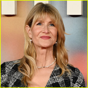 Laura Dern to Star in Series Adaptation of Julie K. Brown's Jeffrey Epstein Book