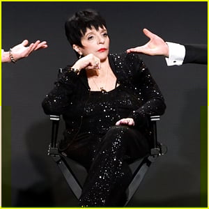 Liza Minnelli Gets Her Director's Chair at GLAAD Media Awards After Slamming Oscars for Putting Her In a Wheelchair