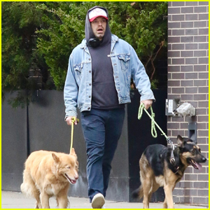Sebastian Stan Takes His Dogs for Walk in NYC Amid Reports He's Expecting First Child with Annabelle Wallis