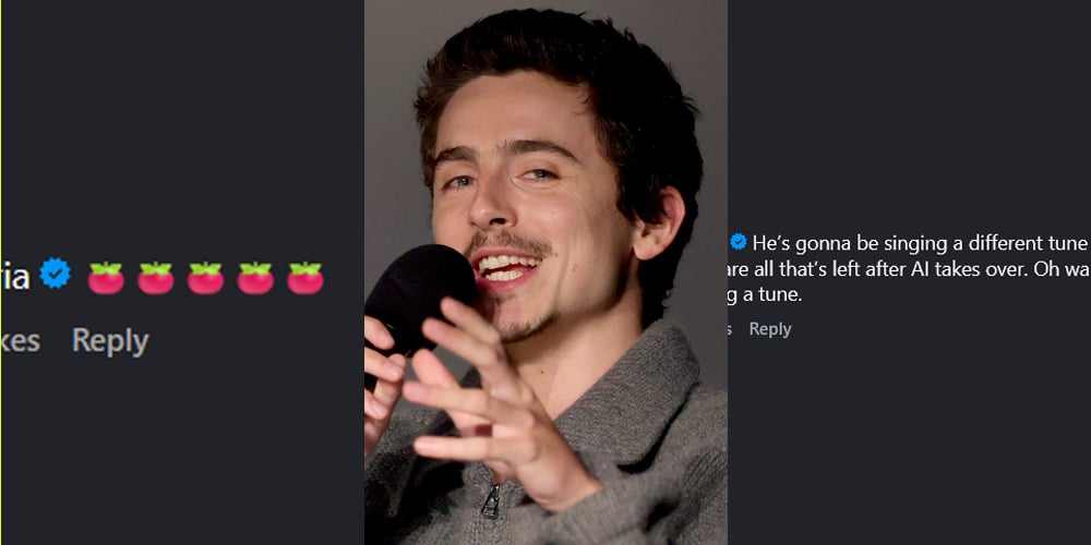 Celebrities Call Out, React to Timothee Chalamet's Viral Statements About Opera & Ballet