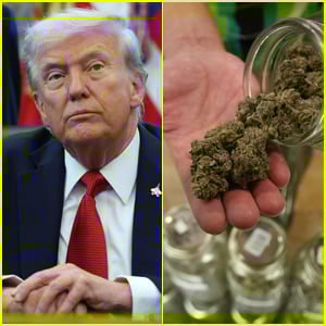 Trump DOJ Reclassifies Medical Marijuana to Less Dangerous Category, Major Policy Shift Announced